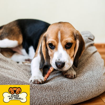 Aussie Pet Treats