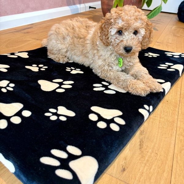 Medium Black Polar Fleece Rectangular Pet Mat 90x60x8cm