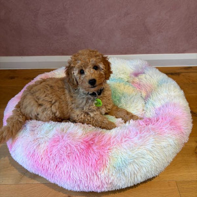 Small Rainbow Donut Pet Bed 50x50x16cm