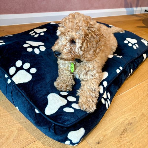Medium Black Polar Fleece Rectangular Pet Mat 90x60x8cm