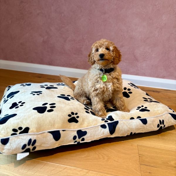 Medium Beige Polar Fleece Rectangular Pet Mat 90x60x8cm