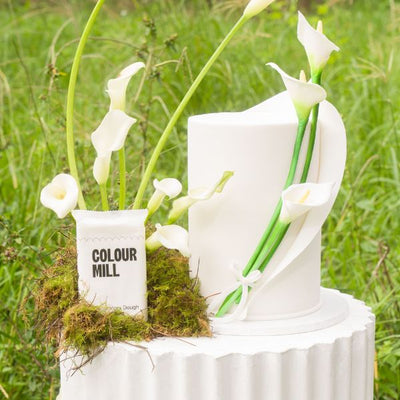 White Colour Mill Decorators Dough 1Kg