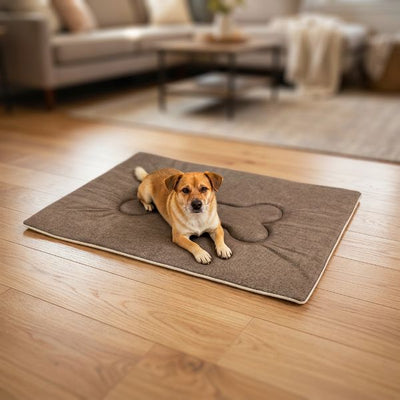 Plush Sponge Bed Large Coffee 60x75cm