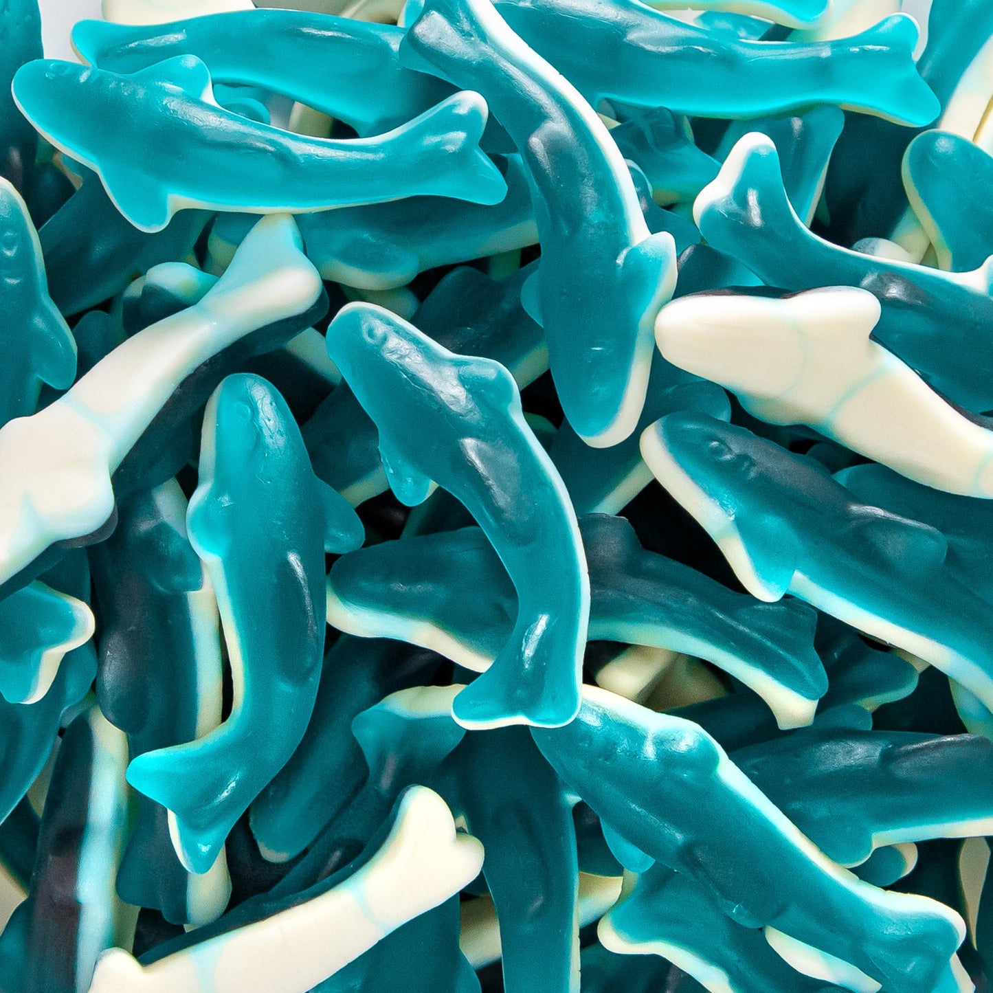 500g Gummy Sharks