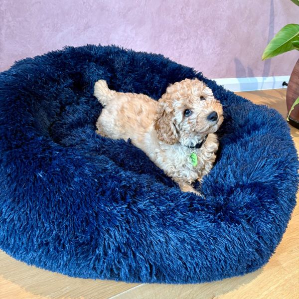 Large Calming Donut Pet Bed 90x90x19cm (Navy, Tan or Grey, chosen at random)