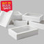 BULK 60pkSmall White Grazing Box with Window Lid (255x155x80mm)