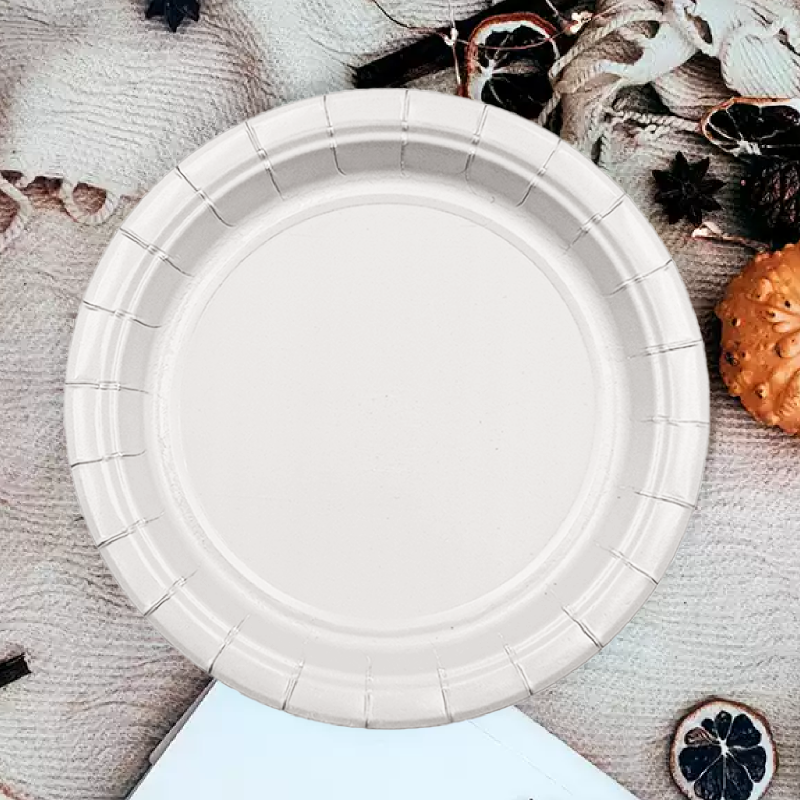 12pk 9 White Paper Plate