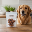 90g Doglisious Chicken Meat Balls