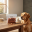 1kg Doglisious Reward Training Treats Duck (Square)