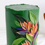 Colour Mill Forest Oil Based Colouring 20ml