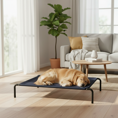 Black Elevated Dog Bed 110x80x20cm
