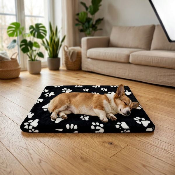 Black Pet Mats Sponge With Polar Fleece Cover 110x75x4cm