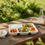 Sugarcane 5x Compartment Deep Lunch Tray 26x22cm 30pk