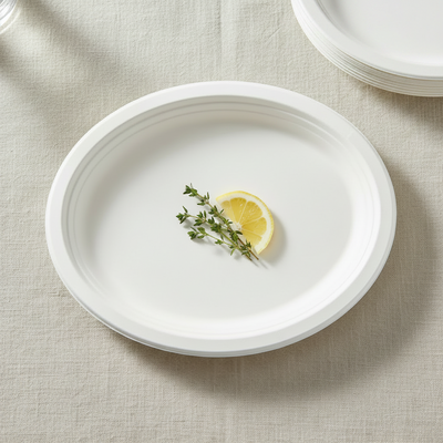 240pk BULK of Sugarcane Oval Plates 32X25cm
