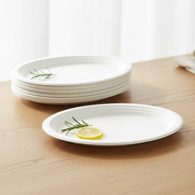360pk BULK of Sugarcane Oval Plates 32X25cm