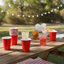 24pk Plastic Red Cup 270ml