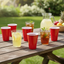 12pk Plastic Red Cup 480ml