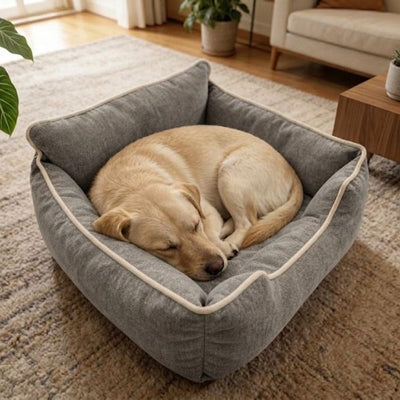Super Plush Lounge Bed Small Dark Grey 48x40.5x20cm