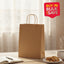 BULK 250pk Brown Kraft Bag Medium (35x26x10cm)