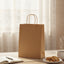 Brown Kraft Bag Medium (35x26x10cm)